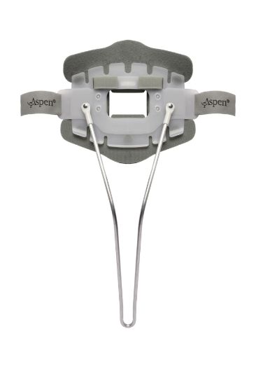 Picture of Aspen® CTO BACK PANEL